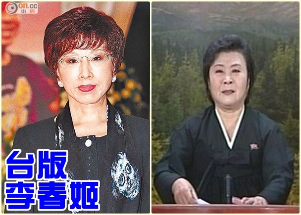 洪秀柱出線背後的新政治想像