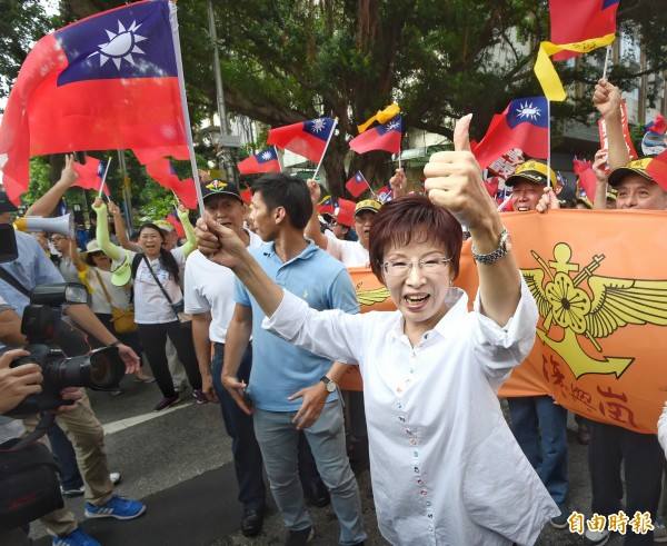 國民黨是軍公教黨?