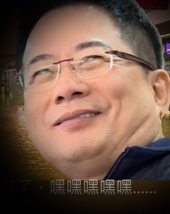 蔡正元的臉皮與手段